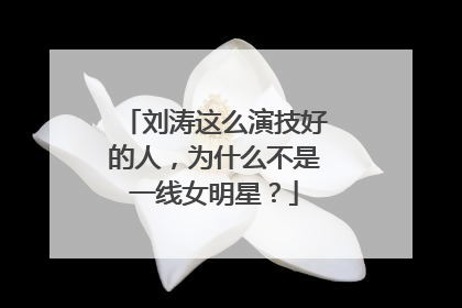刘涛这么演技好的人,为什么不是一线女明星?