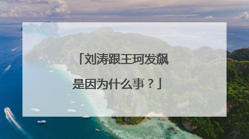 刘涛跟王珂发飙是因为什么事？