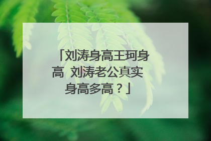 刘涛身高王珂身高 刘涛老公真实身高多高？