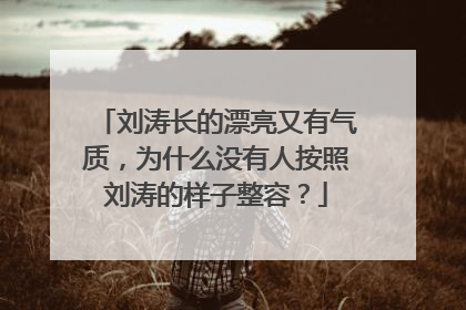 刘涛长的漂亮又有气质，为什么没有人按照刘涛的样子整容？
