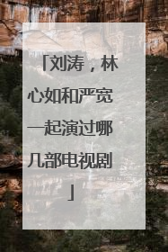 刘涛,林心如和严宽一起演过哪几部电视剧