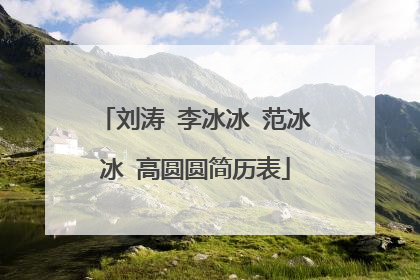 刘涛 李冰冰 范冰冰 高圆圆简历表