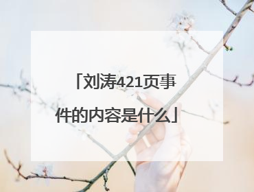 刘涛421页事件的内容是什么