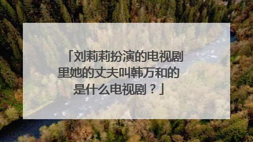 刘莉莉扮演的电视剧里她的丈夫叫韩万和的是什么电视剧?