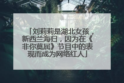 刘莉莉是湖北女孩，新西兰海归，因为在《非你莫属》节目中的表现而成为网络红人