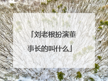 刘老根扮演董事长的叫什么