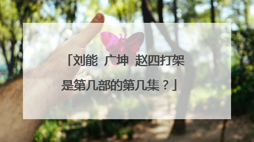 刘能 广坤 赵四打架是第几部的第几集？