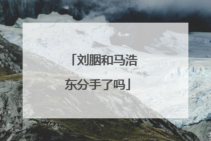 刘胭和马浩东分手了吗
