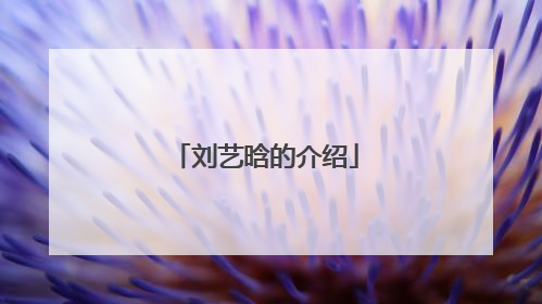 刘艺晗的介绍