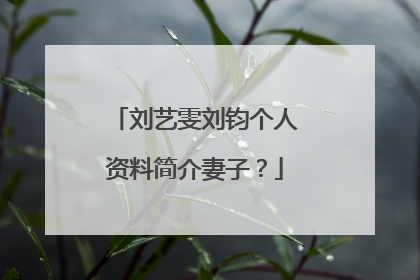 刘艺雯刘钧个人资料简介妻子？