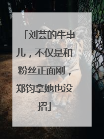 刘芸的牛事儿,不仅是和粉丝正面刚,郑钧拿她也没招