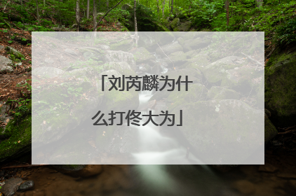 刘芮麟为什么打佟大为