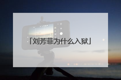 刘芳菲为什么入狱