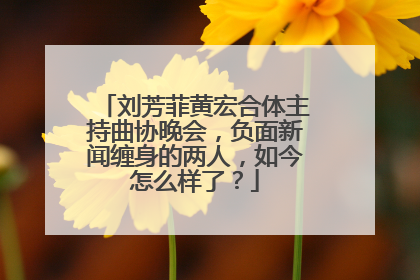 刘芳菲黄宏合体主持曲协晚会,负面新闻缠身的两人,如今怎么样了?