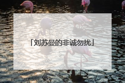 刘苏曼的非诚勿扰