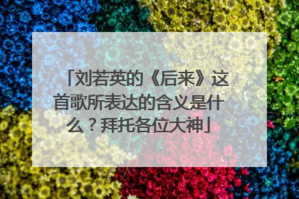 刘若英的《后来》这首歌所表达的含义是什么？拜托各位大神
