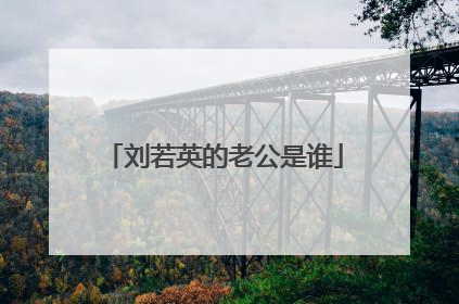 刘若英的老公是谁