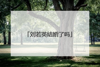 刘若英结婚了吗