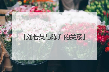 刘若英与陈升的关系