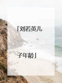 刘若英儿子年龄