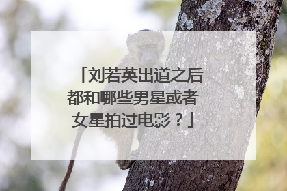 刘若英出道之后都和哪些男星或者女星拍过电影？