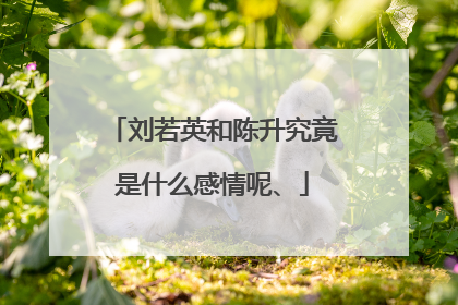 刘若英和陈升究竟是什么感情呢、