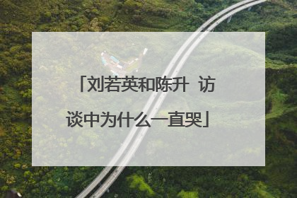 刘若英和陈升 访谈中为什么一直哭