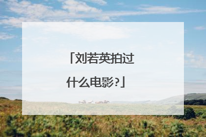刘若英拍过什么电影?