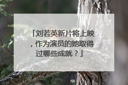 刘若英新片将上映，作为演员的她取得过哪些成就？