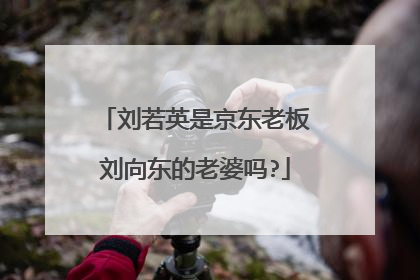 刘若英是京东老板刘向东的老婆吗?