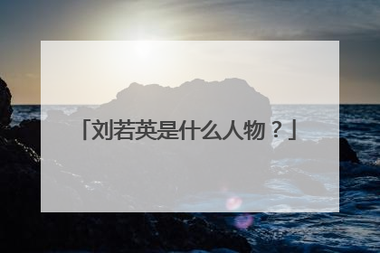 刘若英是什么人物？