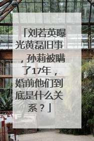 刘若英曝光黄磊旧事,孙莉被瞒了17年,婚前他们到底是什么关系?