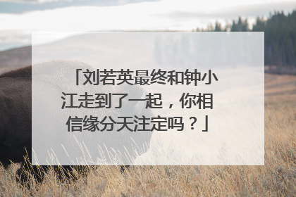 刘若英最终和钟小江走到了一起,你相信缘分天注定吗?