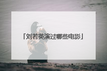 刘若英演过哪些电影