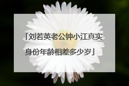 刘若英老公钟小江真实身份年龄相差多少岁