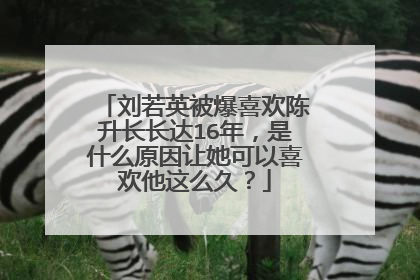 刘若英被爆喜欢陈升长长达16年,是什么原因让她可以喜欢他这么久?