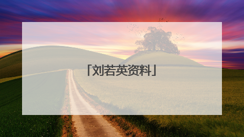 刘若英资料