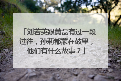 刘若英跟黄磊有过一段过往,孙莉都蒙在鼓里,他们有什么故事?