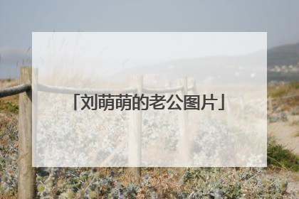 刘萌萌的老公图片