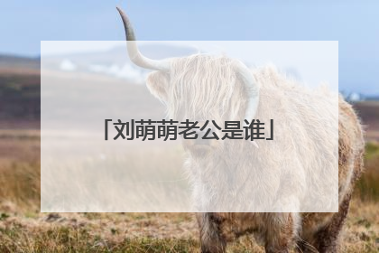 刘萌萌老公是谁