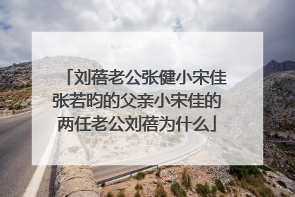 刘蓓老公张健小宋佳张若昀的父亲小宋佳的两任老公刘蓓为什么