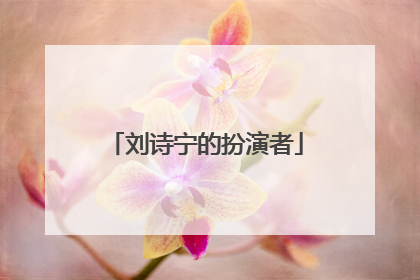 刘诗宁的扮演者