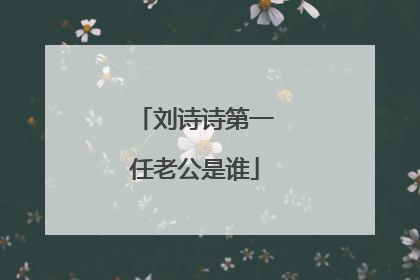 刘诗诗第一任老公是谁