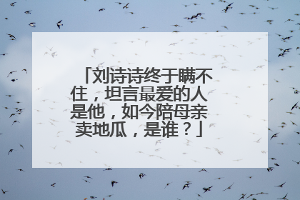 刘诗诗终于瞒不住,坦言最爱的人是他,如今陪母亲卖地瓜,是谁?