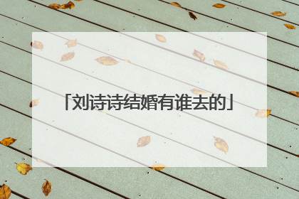 刘诗诗结婚有谁去的