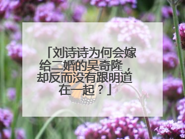 刘诗诗为何会嫁给二婚的吴奇隆，却反而没有跟明道在一起？