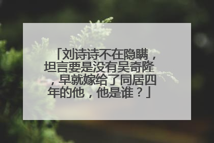 刘诗诗不在隐瞒，坦言要是没有吴奇隆，早就嫁给了同居四年的他，他是谁？