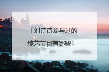 刘诗诗参与过的综艺节目有哪些