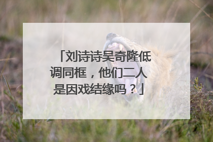 刘诗诗吴奇隆低调同框，他们二人是因戏结缘吗？