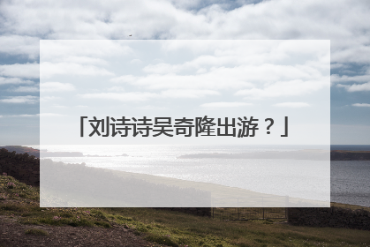 刘诗诗吴奇隆出游？